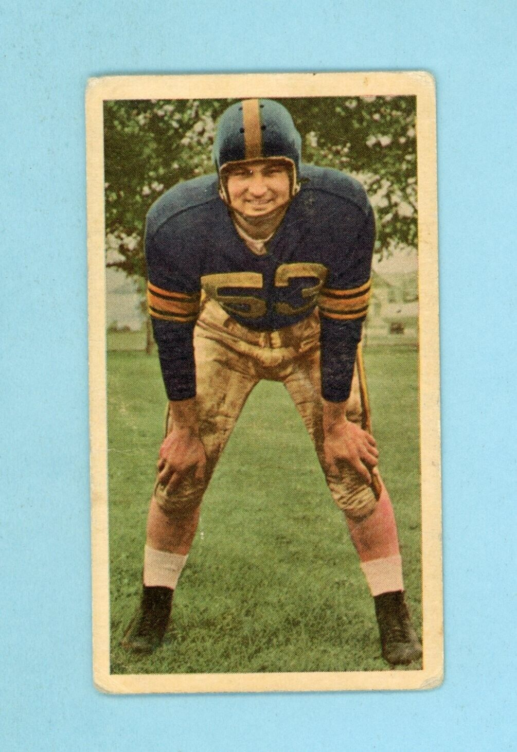 1954 Blue Ribbon Tea #12 Steve Patrick Winnipeg Blue Bombers Football Card LG-G